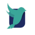 Logo COTINGA